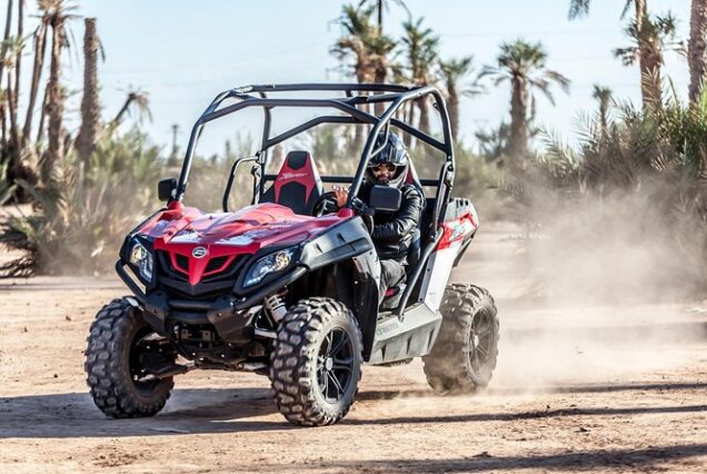 Marrakech: Buggy Ride in the Palmeraie with Pick-Up