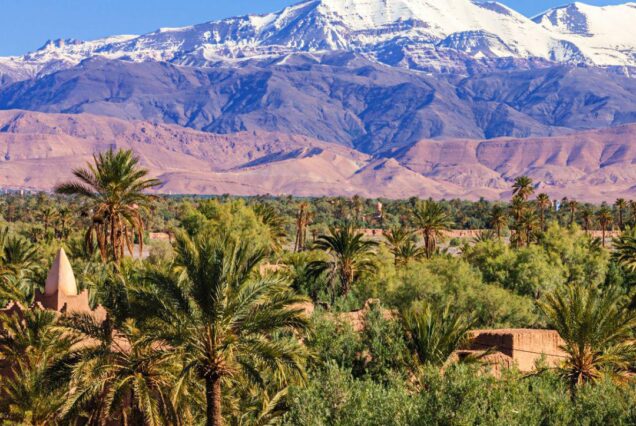 Atlas Mountains Day Trip from Marrakech