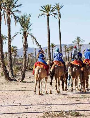 Marrakech-oasis-camel-ride-1